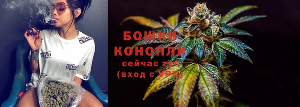 крисы Мегион