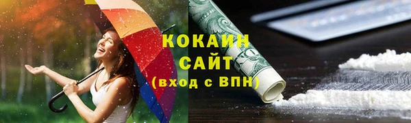 крисы Мегион