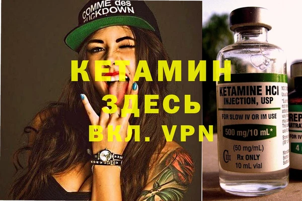 крисы Мегион