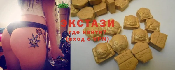 крисы Мегион