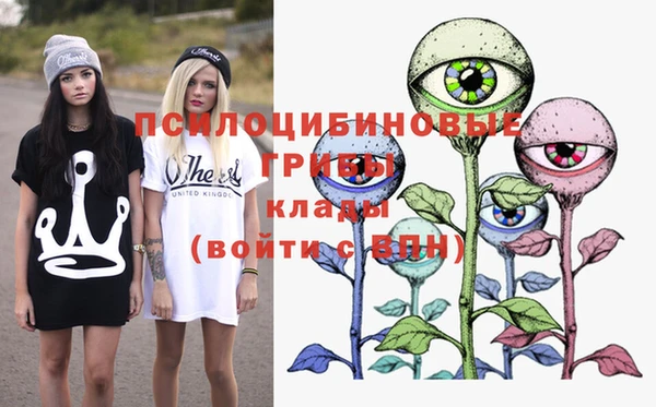 крисы Мегион