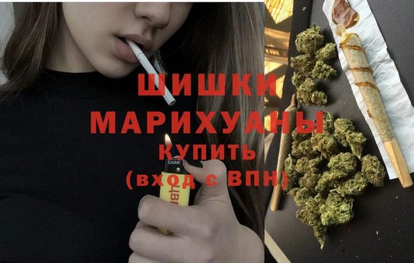 mdpv Медвежьегорск