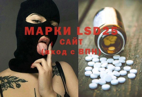 индика Майский