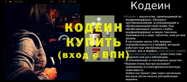 крисы Мегион
