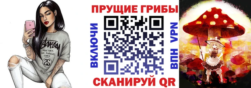 купить наркотик  Нижний Ломов  Псилоцибиновые грибы GOLDEN TEACHER 